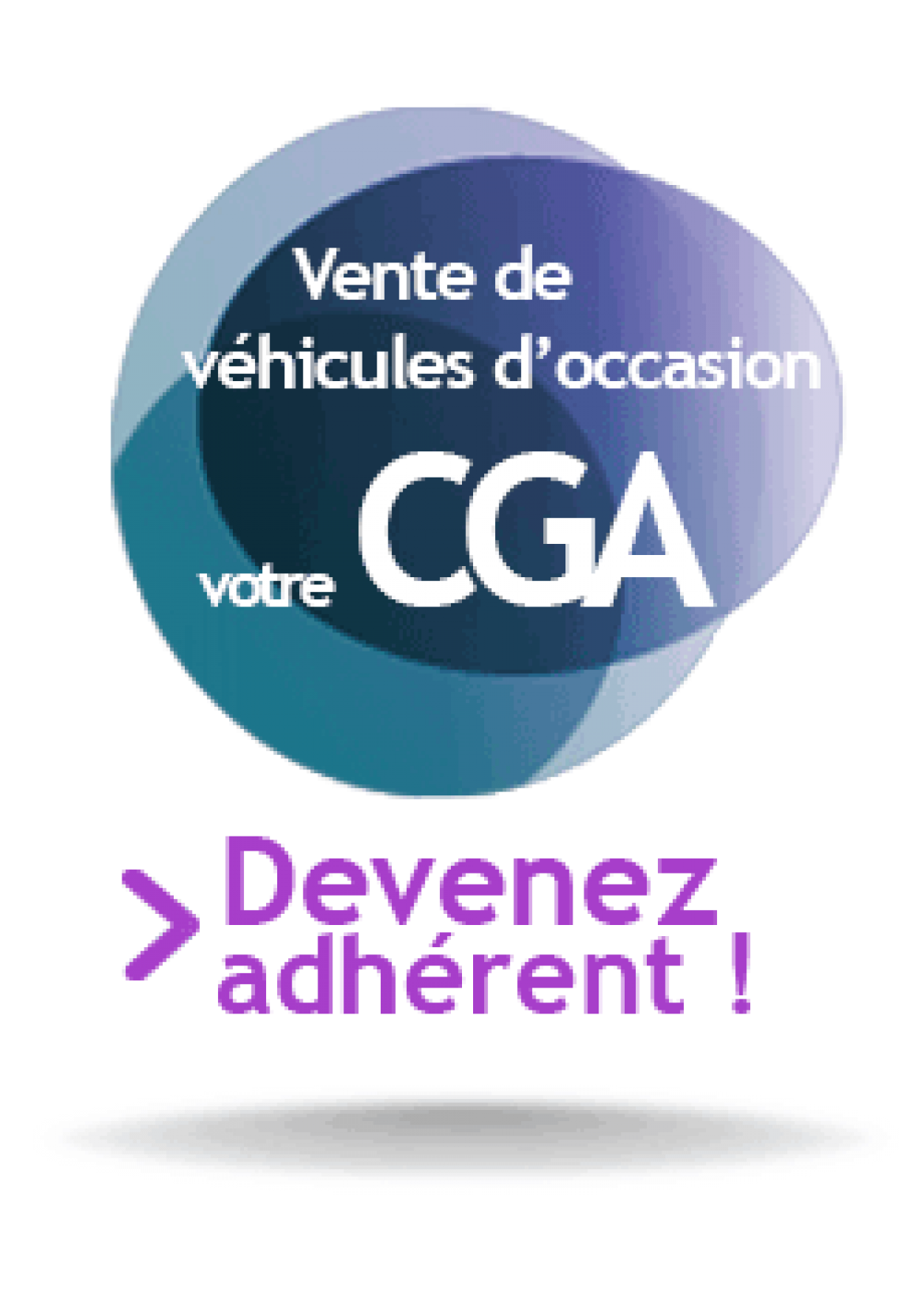 Vente de véhicules d’occasion 4511Z1